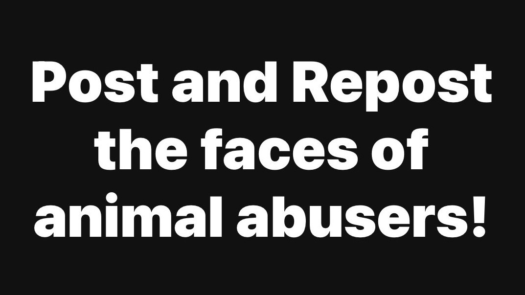 PhaedraXTeddy's tweet photo. This is an influencer in 🇨🇳#China and his fans are on x attacking anyone who calls him out for humiliating and executing dogs through months of torture, for being "bad dogs".
Any rational dog unlucky enough to be in #China 🇨🇳would be a BAD DOG and deserves refugee status in USA. https://t.co/EyOTvSMOVg