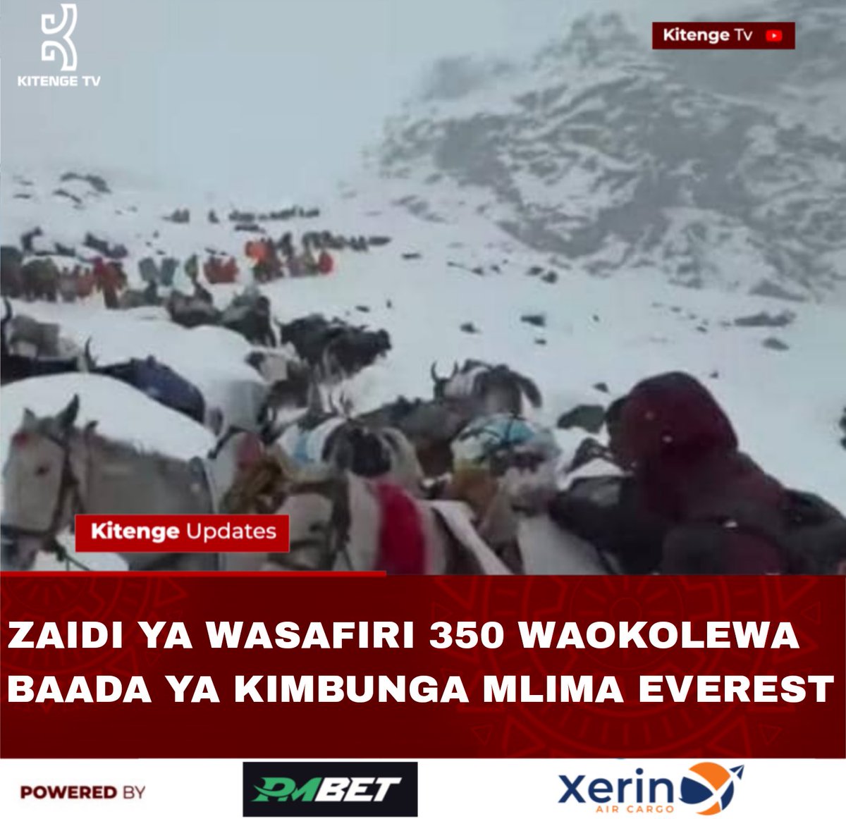 Maulid Kitenge tweet media
