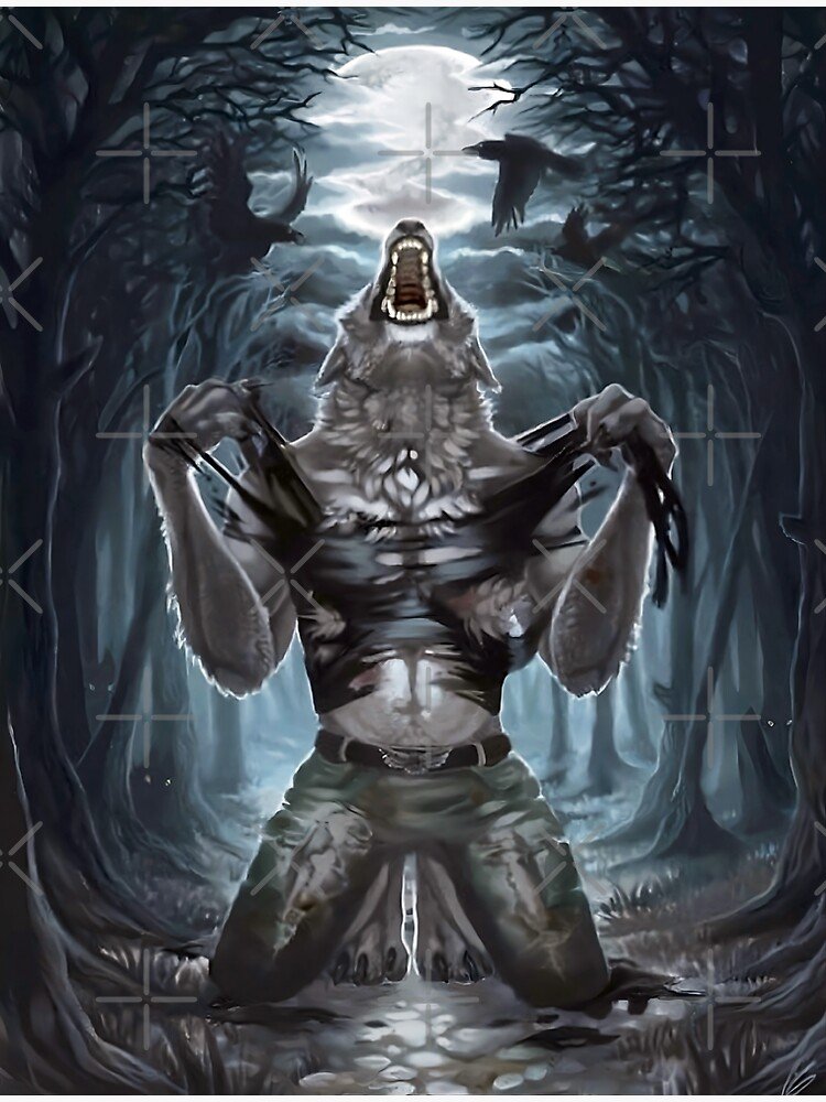 ImMFCR's tweet image. WARWICK TOMORROW