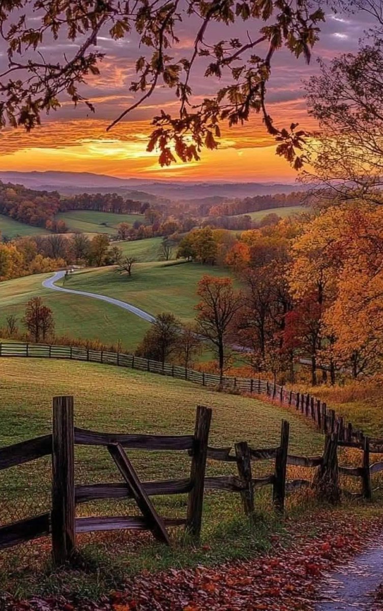 scouce007's tweet image. 🧡❤️ Have a nice evening!❤️🧡