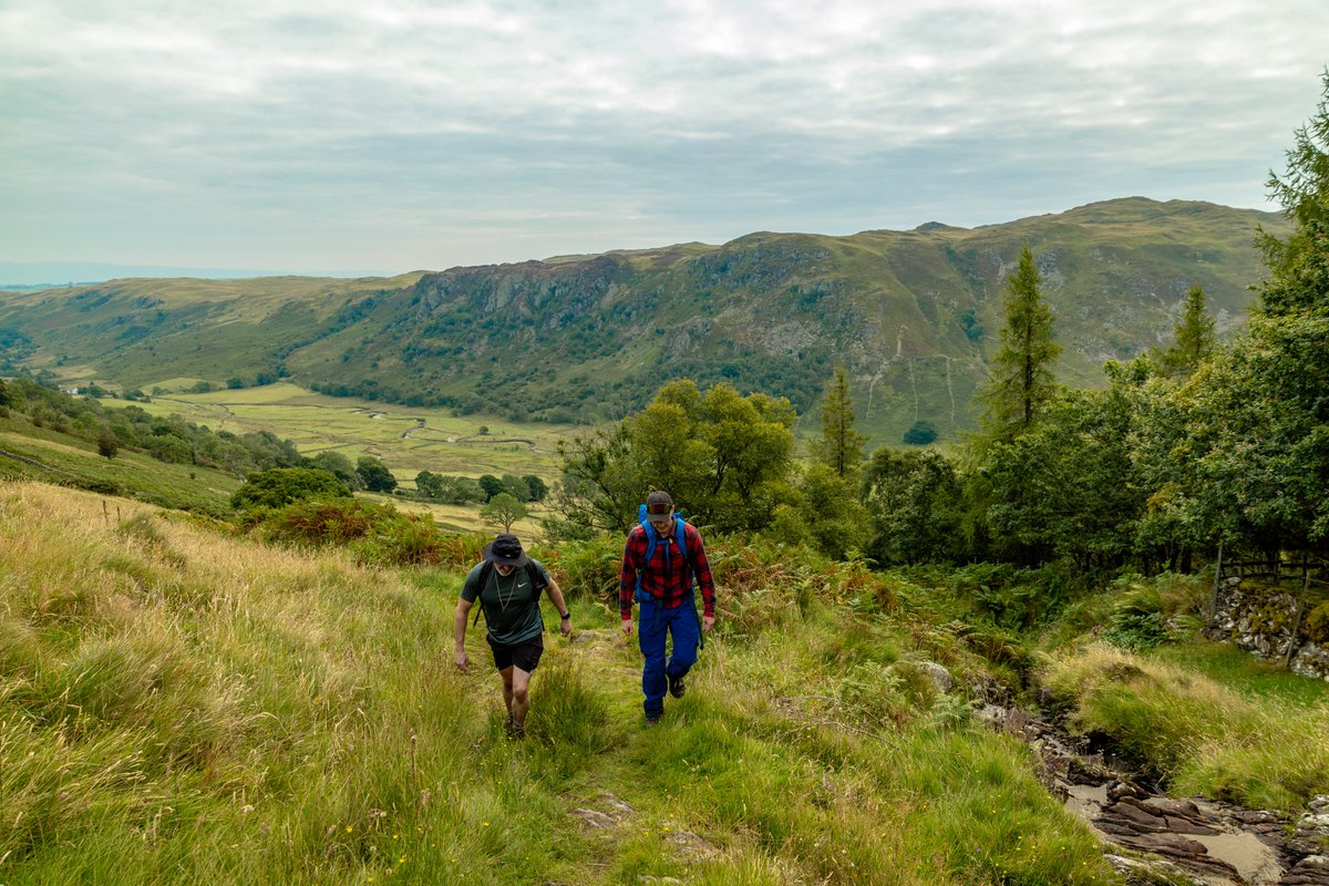 Cameron Ross Hall tweet media