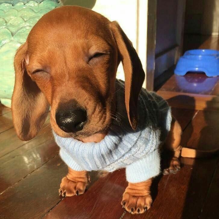 so Cute