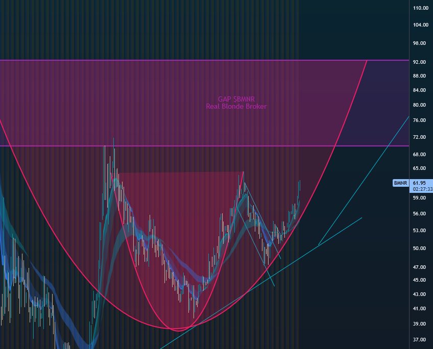 Real Blonde Broker tweet media