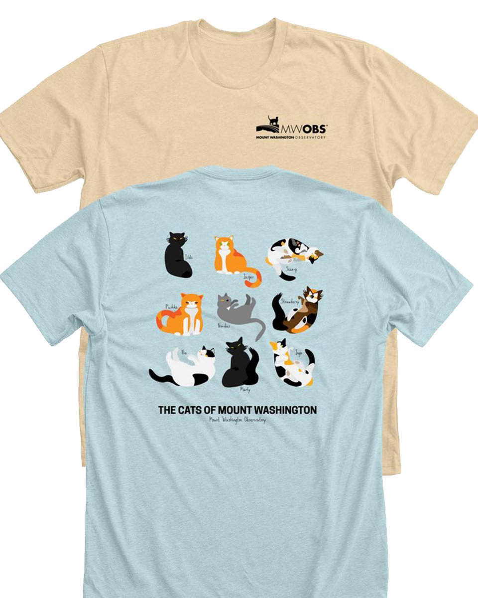 Mount Washington Observatory (MWOBS) tweet media