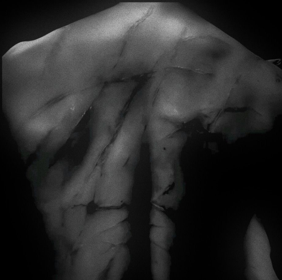 RevoltInPink's tweet image. 𝖺 𝗌𝖼𝖺𝗋𝗋𝖾𝖽 𝖿𝗂𝗀𝗁𝗍𝖾𝗋 ⁛ 𝗐𝗂𝗍𝗁 𝗌𝗈𝖿𝗍 𝖾𝗒𝖾𝗌 ꩜
༺ 𝖻𝗋𝗈𝗄𝖾𝗇 𝖻𝗎𝗍 𝗀𝗅𝗈𝗐𝗂𝗇𝗀 ༻
⸺ 𝖻𝖾𝗅𝗂𝖾𝗏𝖾 𝗂𝗇 𝗍𝗁𝖾 𝖿𝗂𝗋𝖾 𝗍𝗁𝖺𝗍 𝖿𝗈𝗋𝗀𝖾𝗌 𝗆𝖾