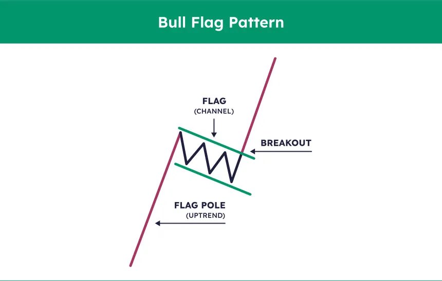 BRUH 👑 tweet media