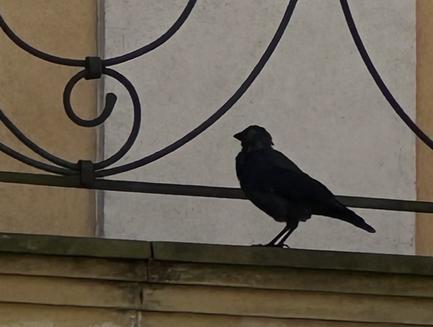 Dobranoc Państwu🍁🎶🍁🎶🍁 youtu.be/xtITH1lSok0?si…