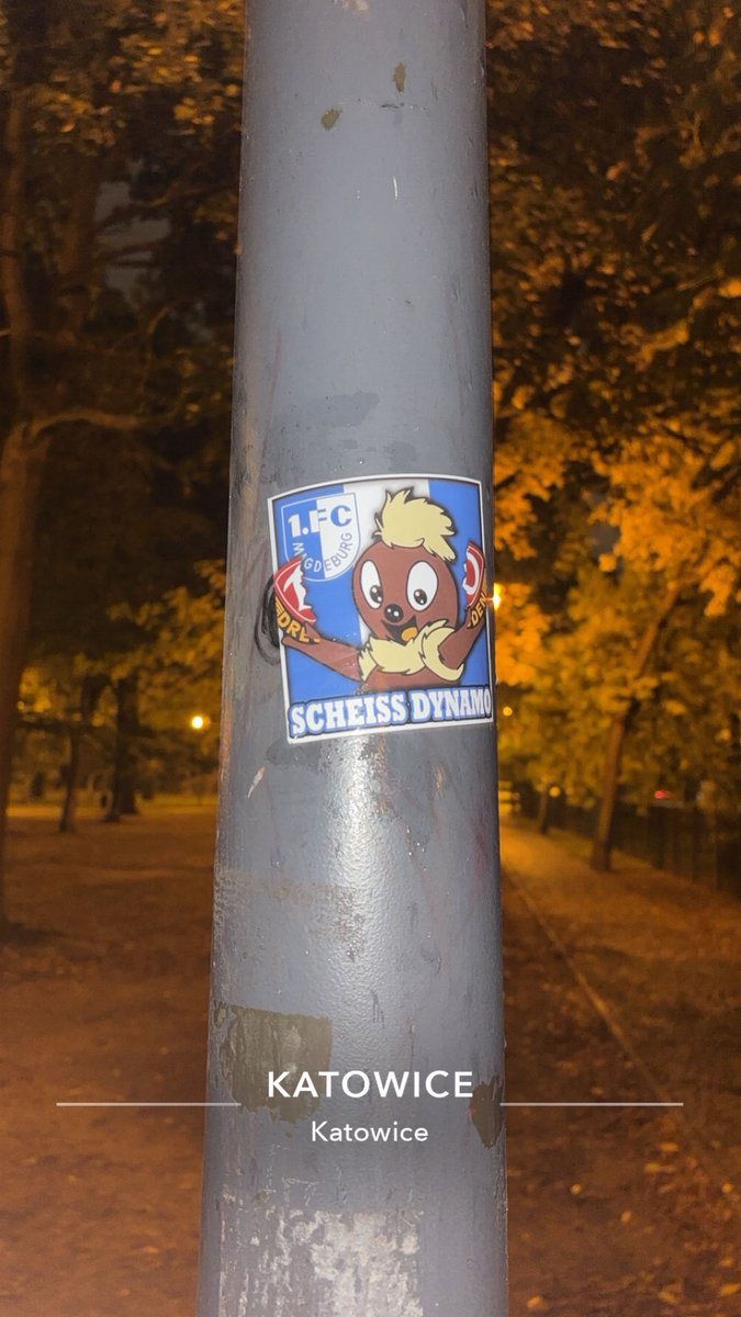 Nollenhater🎯🏳️ tweet media