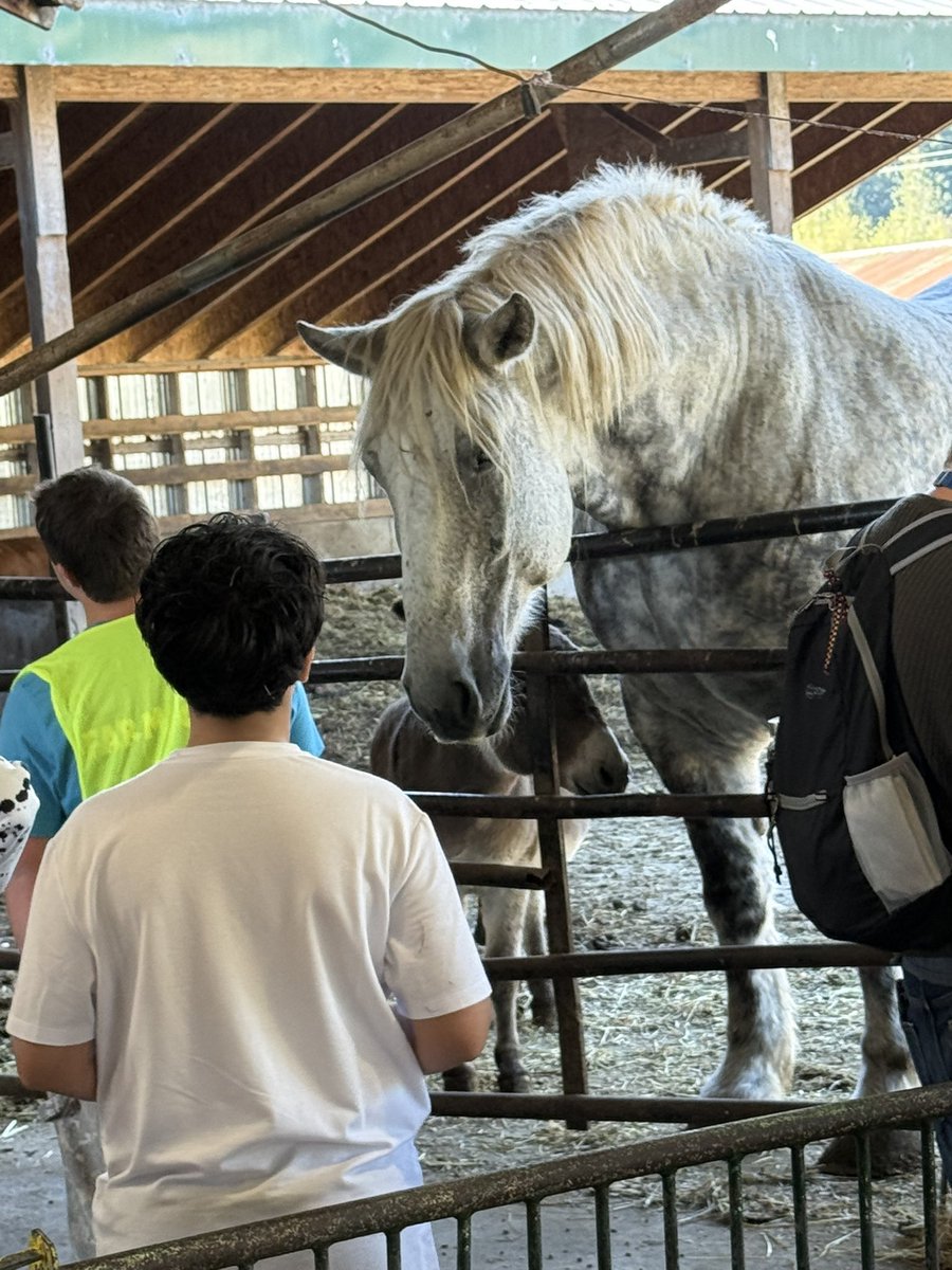 Edmonds Elementary tweet media