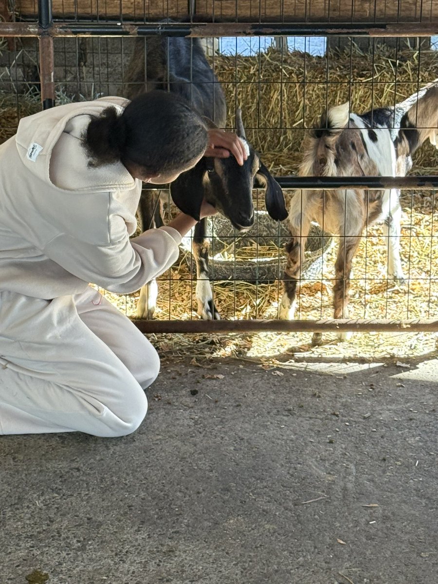 Edmonds Elementary tweet media