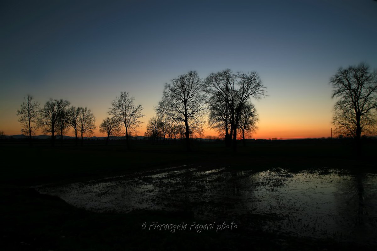 @ferrarisergio4 tweet media