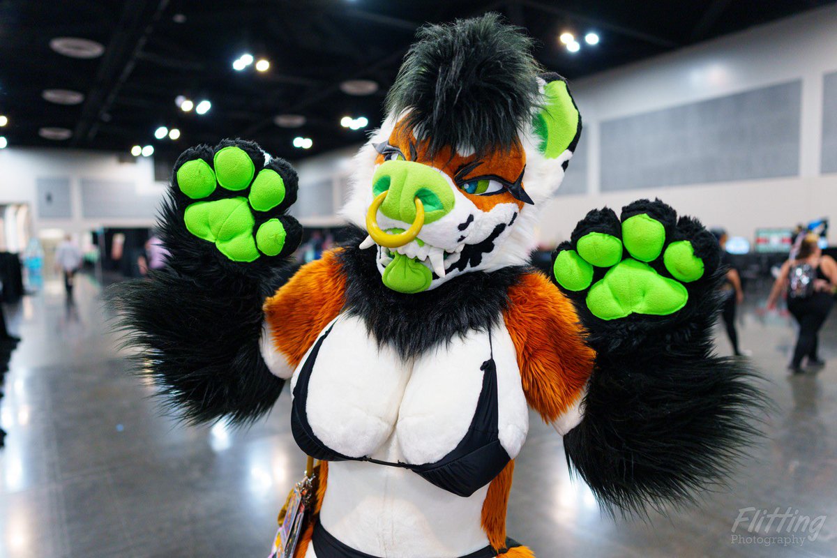 CHARCOAL THE SERGAL🖤 tweet media