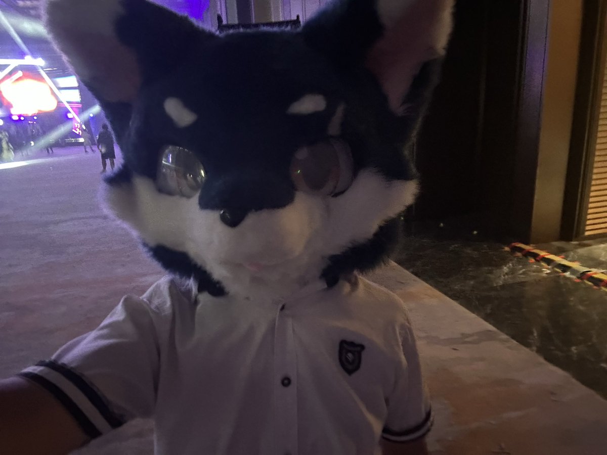 不敢和大家互动，在阴暗的角落出毛🥲