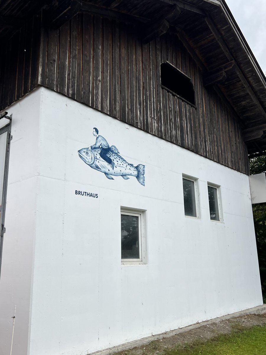 EUKommWien's tweet photo. Frischer Fisch rund um die Uhr ⏰🐟- das gibt's im Kärntner Drautal, wo Forellen Jobst Innovation &amp; Tradition verbindet. 
Die EU hat die Modernisierung des Betriebs gefördert. Ein Expertenausschuss war vor kurzem vor Ort. 🇪🇺 🇦🇹
@EU_MARE 
#aquaculture #EUinmyRegion #EMFF #EMFAF https://t.co/1vqjttOcMW
