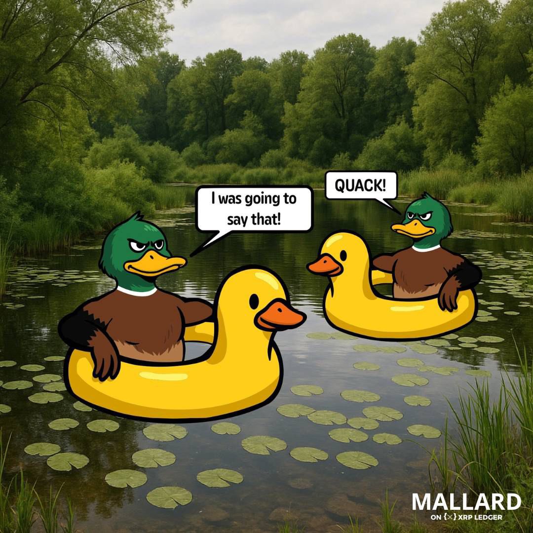 XRP QUEEN🤍 (@crypto_queen_x) on Twitter photo Two ducks were floating in a pond. The first duck says, "Quack!". The second duck says, "I was going to say that."
Written by <a href="/JoelKatz/">David 'JoelKatz' Schwartz</a> Two ducks were floating in a pond. The first duck says, "Quack!". The second duck says, "I was going to say that."
Written by <a href="/JoelKatz/">David 'JoelKatz' Schwartz</a>