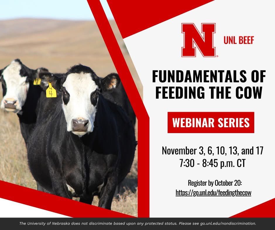 @unl_extension will again offer its popular Fundamentals of Feeding the Cow webinar series this November, providing cattle producers with practical tools to understand and meet the nutrient requirements of their herds.

Learn more and register at go.unl.edu/feedingthecow.