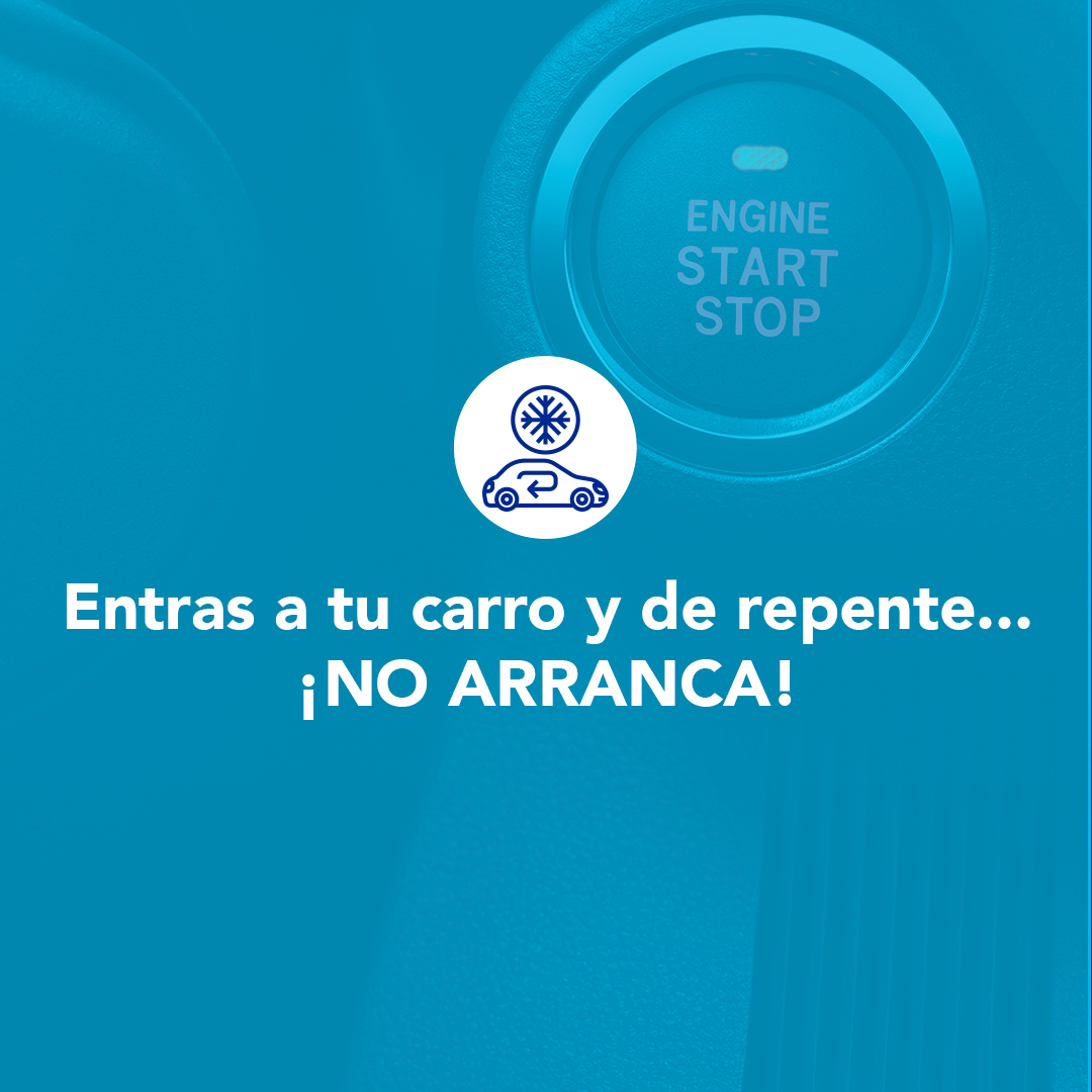 Subaru Del Canal S.A tweet media