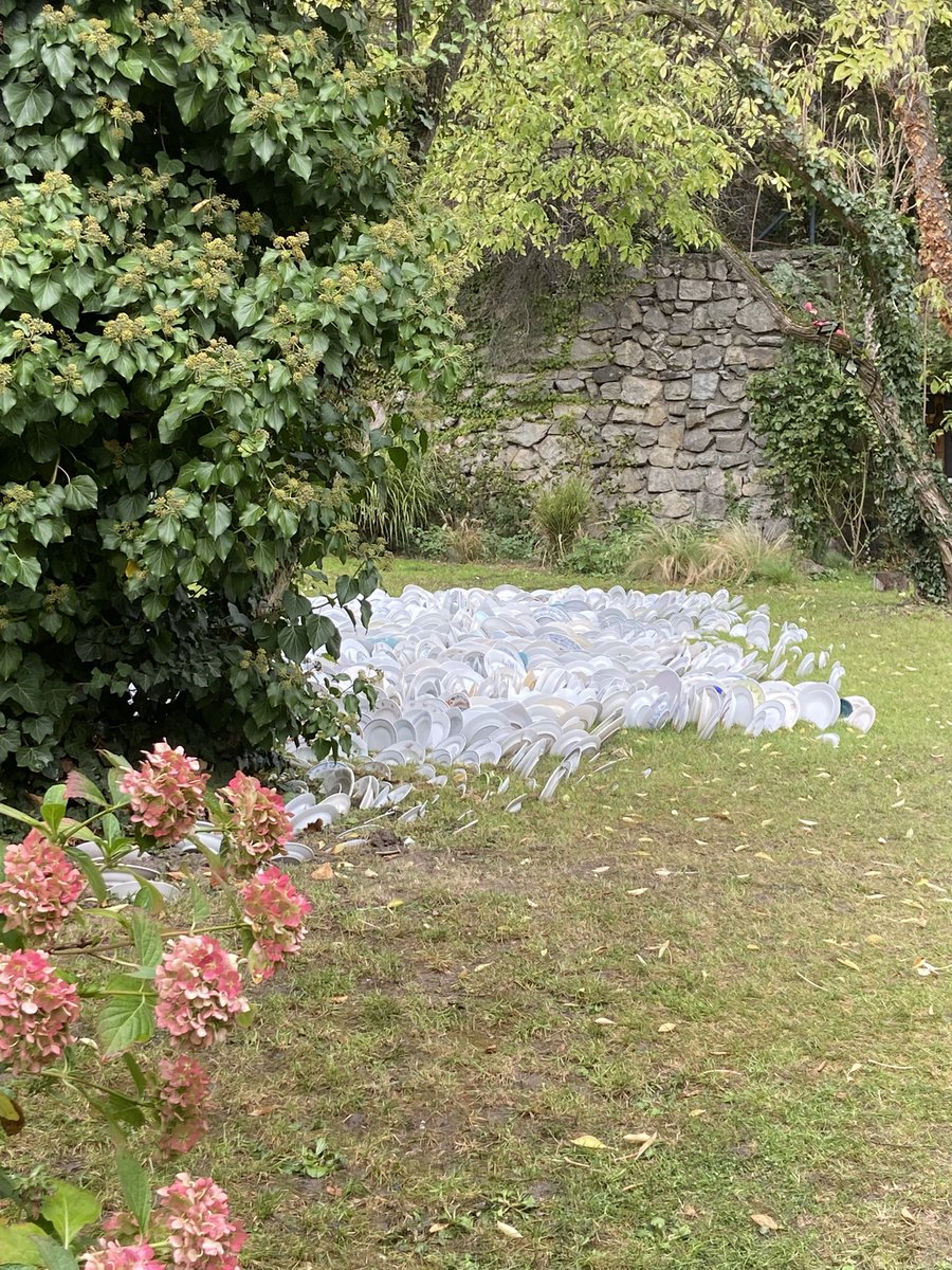 Knujs's tweet photo. Må være noe kunst greier. En hage med tallerkner🙄 https://t.co/yflrhrczwX