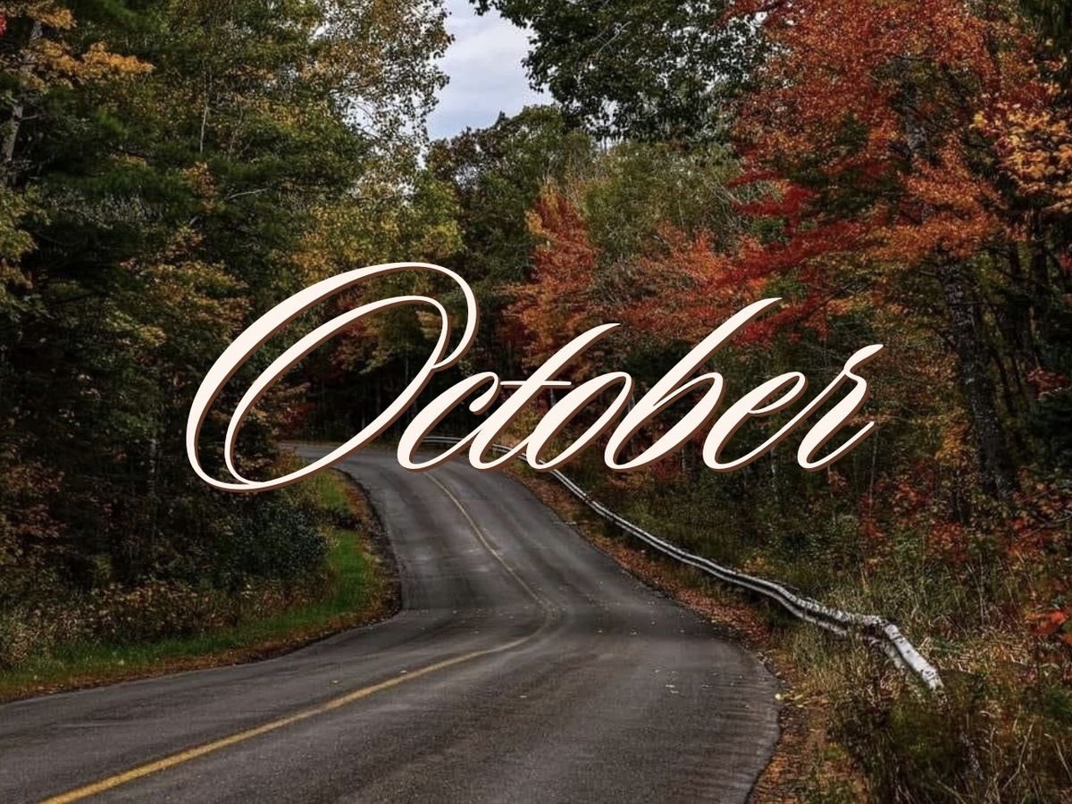 luvstrrz's tweet photo. October accountability thread 🪡🕸️ https://t.co/E3b3viXzwF