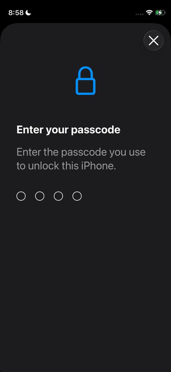 Noah Cat tweet media