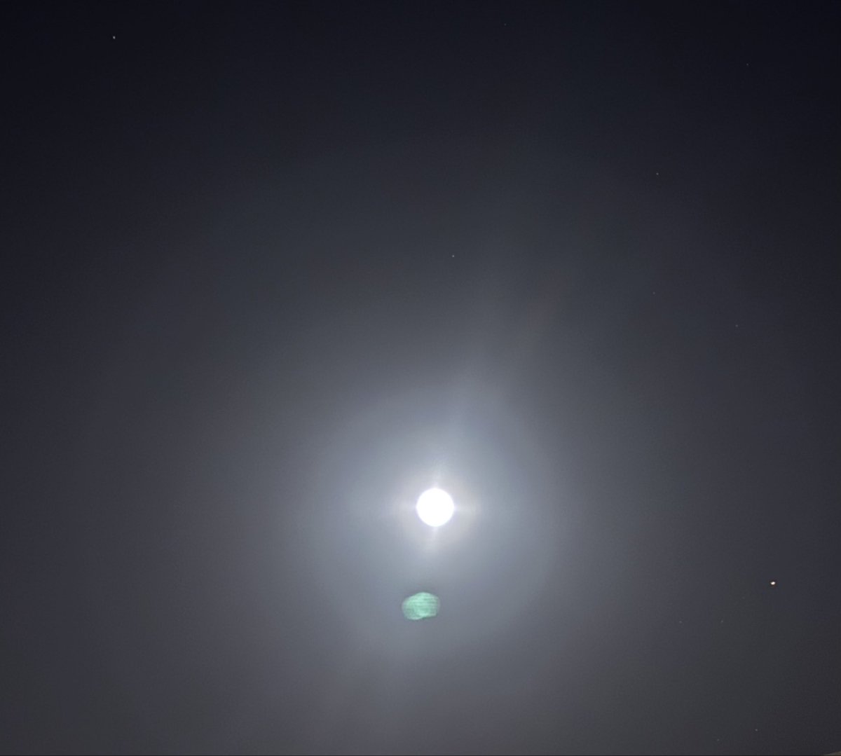 24.流れ星様　オーダー 天 on X