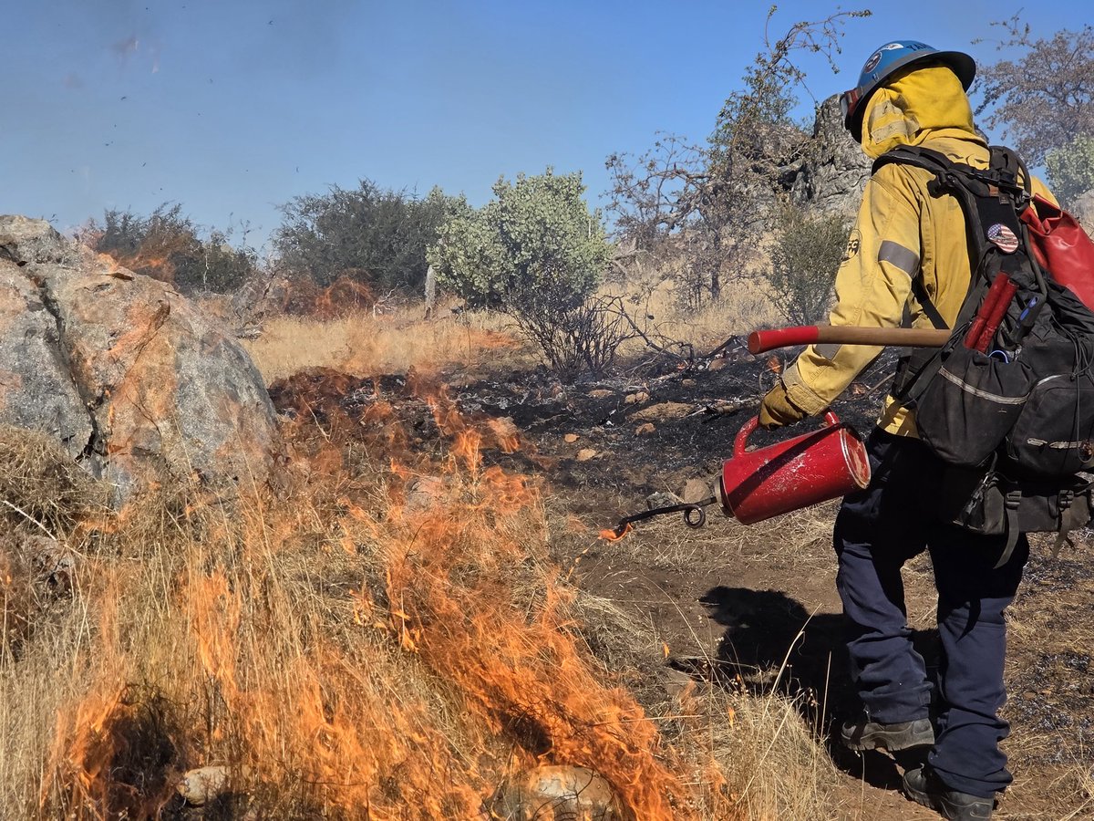 CALFIRE_ButteCo's tweet photo. Burning has begun on the #PhoenixVMP. The goal is to burn 433 acres over the next three days off Forbestown Road east of Oroville. Four Crews, 13 engines, and two dozens are here, along with several water tenders and overhead personnel, to ensure a safe and successful operation. https://t.co/N8zTyPXN0F