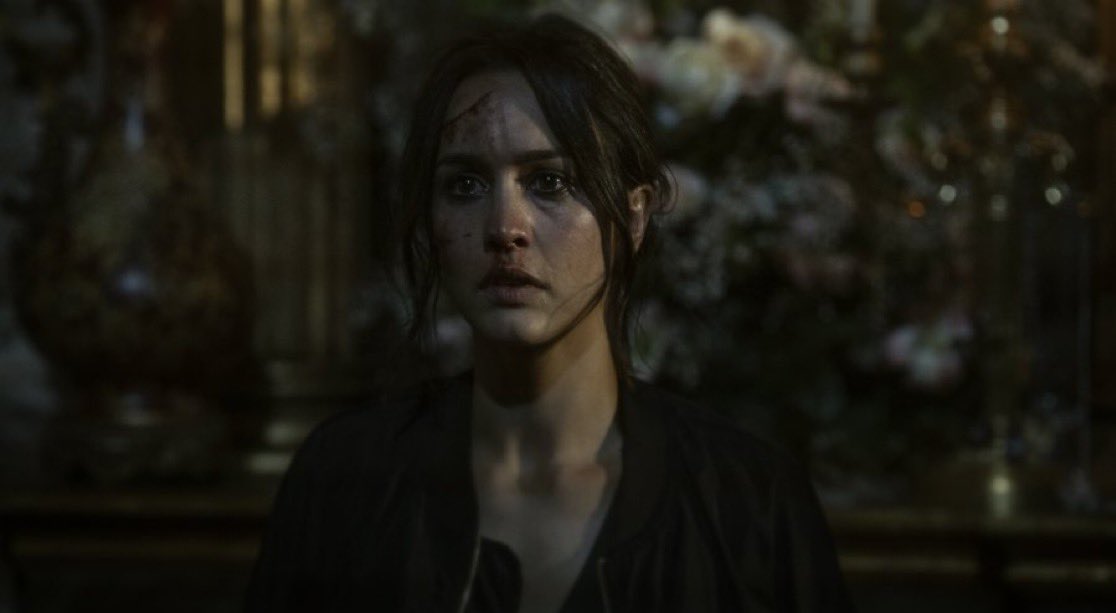 سيراف tweet media