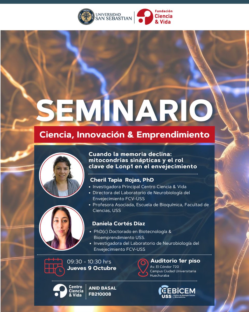 Fundacion Ciencia & Vida (@funcienciayvida) on Twitter photo Este jueves 9/OCT a las 09:30: seminario Ciencia, Innovación & Emprendimiento. 
Tema: Lonp1 y mitocondrias sinápticas en el declive de la memoria.
Presentan: Dra. Cheril Tapia, investigadora principal Centro Ciencia & Vida y PhD(c) Daniela Cortés.
#CentrosAnid #Envejecimiento Este jueves 9/OCT a las 09:30: seminario Ciencia, Innovación & Emprendimiento. 
Tema: Lonp1 y mitocondrias sinápticas en el declive de la memoria.
Presentan: Dra. Cheril Tapia, investigadora principal Centro Ciencia & Vida y PhD(c) Daniela Cortés.
#CentrosAnid #Envejecimiento
