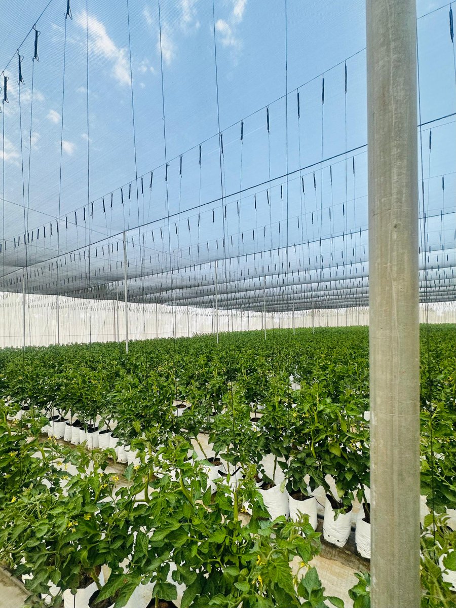 Backend by Gerald Black tweet media