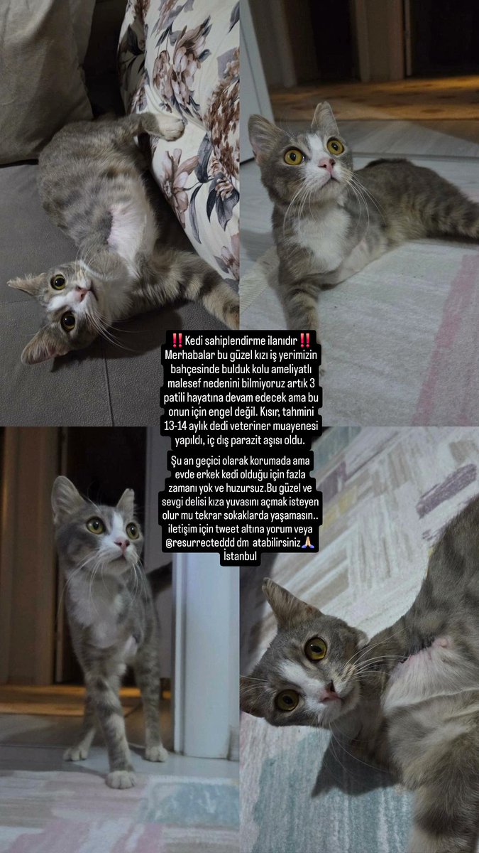 luna🍒 #boykot tweet media