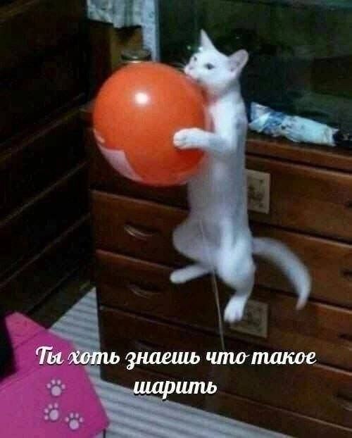 Nickro (@nickro666) on Twitter photo 