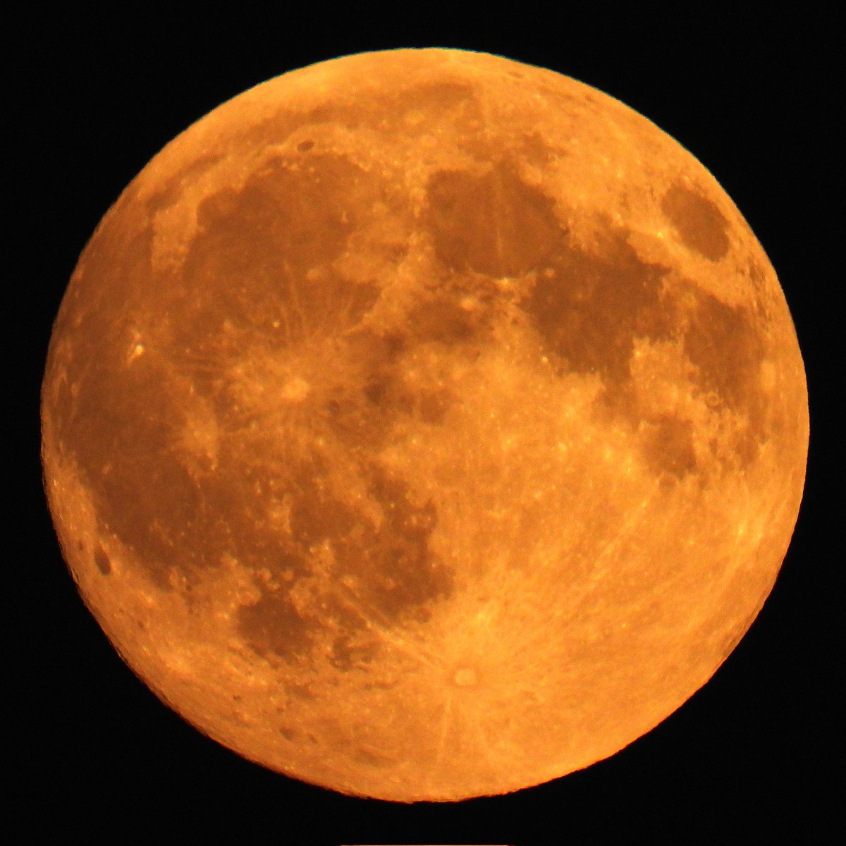 FunkyAppleTree's tweet image. 🌝SUPERMOON ALERT🌝
Hunter's Moon rising in SW London @StormHour @ThePhotoHour #HuntersMoon AKA #HarvestMoon #FullMoon @skyatnightmag @metoffice @NASAArtemis #supermoon