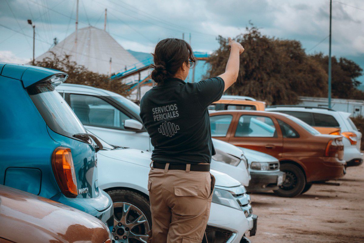 fiscaliaqro's tweet image. 🧪 MÁS DE 3 MIL DICTÁMENES PERICIALES REFUERZAN EL TRABAJO CIENTÍFICO DE LA FGE EN DOS SEMANAS

La FiscalíaQro informa:

✅ 3,140 dictámenes periciales emitidos en las últimas dos semanas
🔬 Información técnica y científica con rigor metodológico que respalda investigaciones