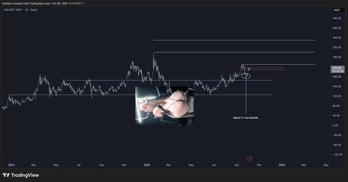 remember everyone was calling the top around 3-4 weeks ago? then price dips down to 190s? that was just a pullback giving us another chance to buy. 

ill cya soon $SOL 

@ 250, 300, 350