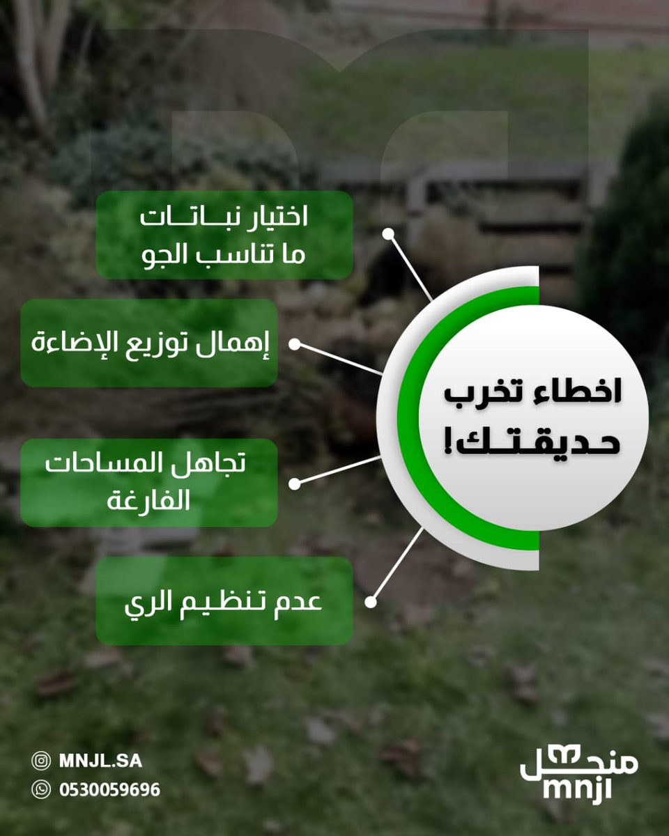 كثير يظن كثرة النباتات تعني حديقة أجمل لكن، الحقيقة إنها تسبب فوضى وتضيع جمال المكان
من الأخطاء
1️⃣اختيار نباتات ماتناسب الجو
2️⃣إهمال توزيع الإضاءة
3️⃣تجاهل المساحات الفارغه 
 💡الحل؟تخطيط يوازن بين الجمال والراحة
📩لو تفكر تبدأ أو تطور حديقتك راسلنا
📞+966530059696
#نصائح_زراعية
