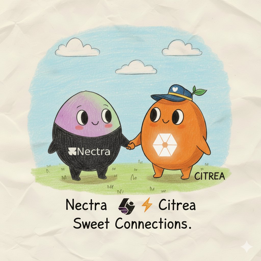 NitinkashyapSTR's tweet image. 𝙽𝚎𝚌𝚝𝚛𝚊 💧
Nectra feels calm like water 💧 it’s all about stablecoins & safety🪙
helps keep calm when everything goes crazy
A Cute handshake with Citrea like ‘stay chill bro’ 😌🍊
@citrea_xyz 🤝 @nectraxyz
#Citrea #Bapps