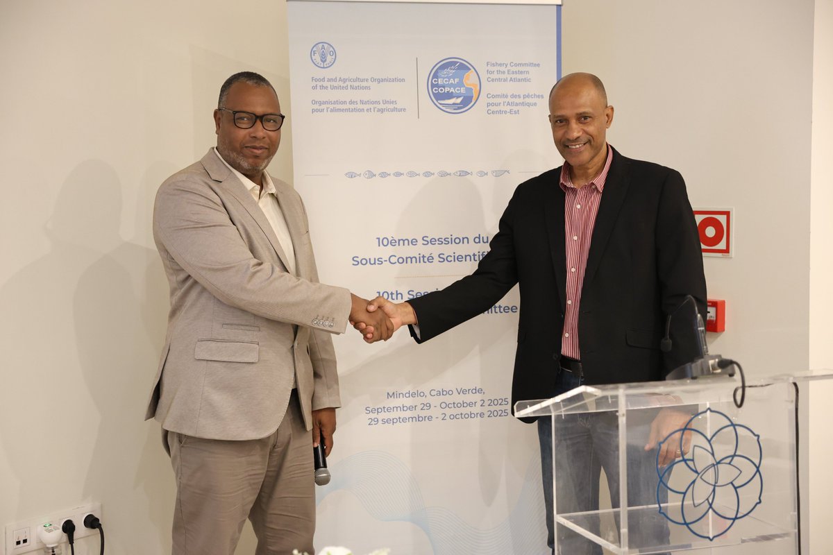 FAOCaboVerde's tweet image. #CECAF 🎣 Eastern Central Atlantic

Recommendations:
- standardization of data
- harmonization of the concept of small-scale fishing
- reduction in fishing effort for overexploited species
- validation of assessment methods
- strengthening of regional cooperation
- training