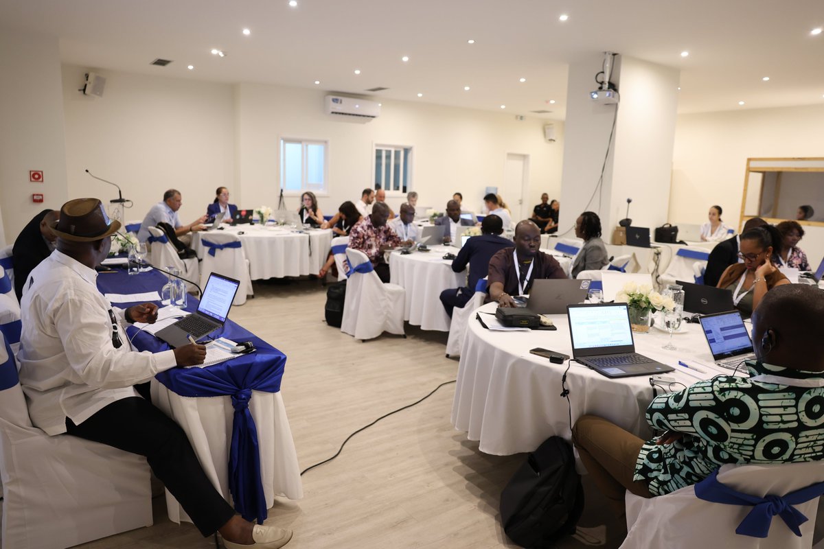 FAOCaboVerde's tweet image. #CECAF 🎣 Eastern Central Atlantic

Recommendations:
- standardization of data
- harmonization of the concept of small-scale fishing
- reduction in fishing effort for overexploited species
- validation of assessment methods
- strengthening of regional cooperation
- training