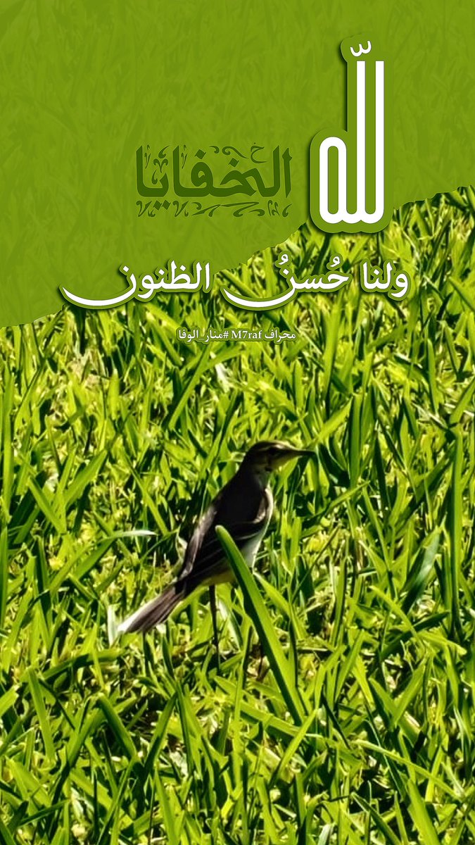 لله الخفايا ولنا حُسنُ الظنون. 
عن أبي هريرةأن رسول الله ﷺ ، قال: إذا قال الرجل: هلك الناس، فهو أهلكهم.أخرجه مسلم.
#تصويري #تصميمي #محراف #منار_الوفا #خلفية_جوال #مما_راق_لي #القلب_السليم #مصممة #حقيقه_لا_يمكن_انكارها  #صباح_الخير #مساء_الخيرᅠ #داعم_للخیر #الطير <a href="/BetaqaDaawia/">بطاقة دعوية</a>