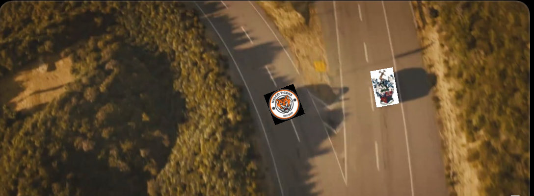 Nalgo Tigers tweet media