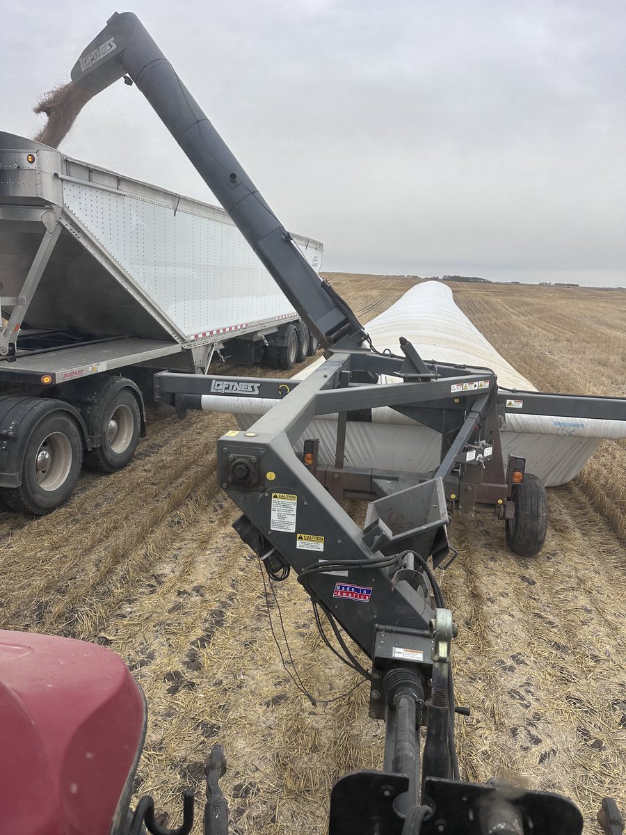 This isn’t so bad when they aren’t buried in snow