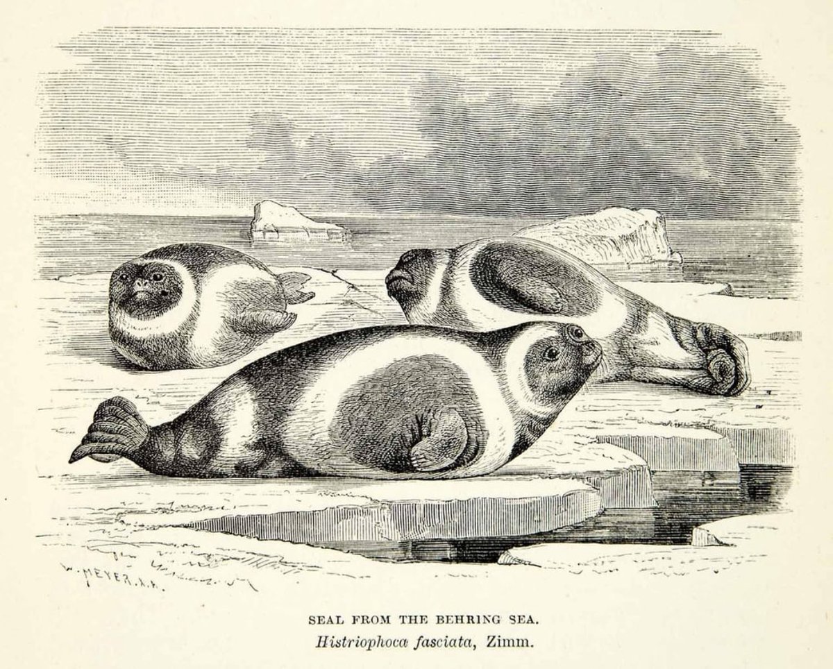 Wooden ribbon seal art from 1882