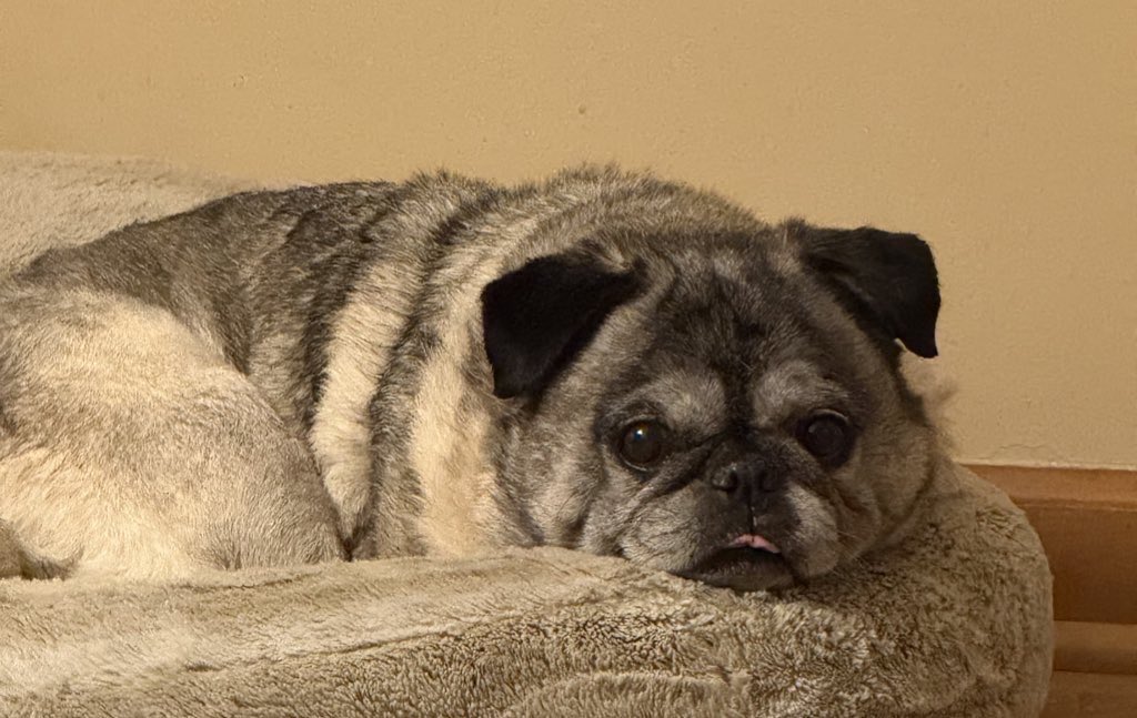 𝓜𝓻𝓼. 𝓒 ✨ tweet media