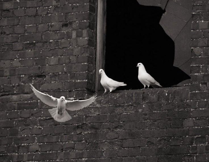 "Bazı insanlar günahların derinliklerinde Allah'ı bulurken, bazıları nimetlerinin doruk noktasında O'nu kaybettiler."