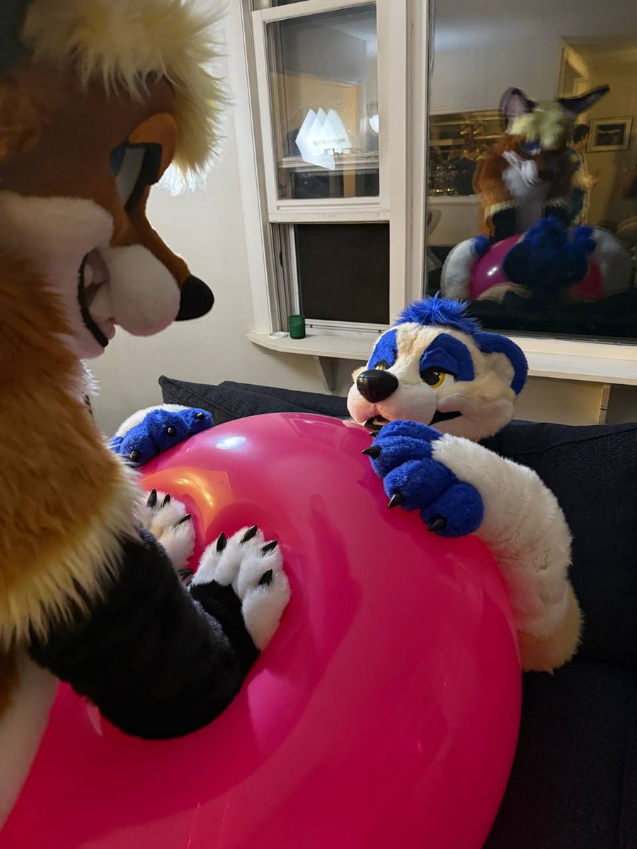 There's no arguing with that smile; I think he likes being trapped under that balloon 
🦊: <a href="/LukeBusFox/">Luke Fox</a>
📸: <a href="/TheWolfderg/">Gala</a>