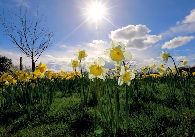 South Norwood Net tweet media