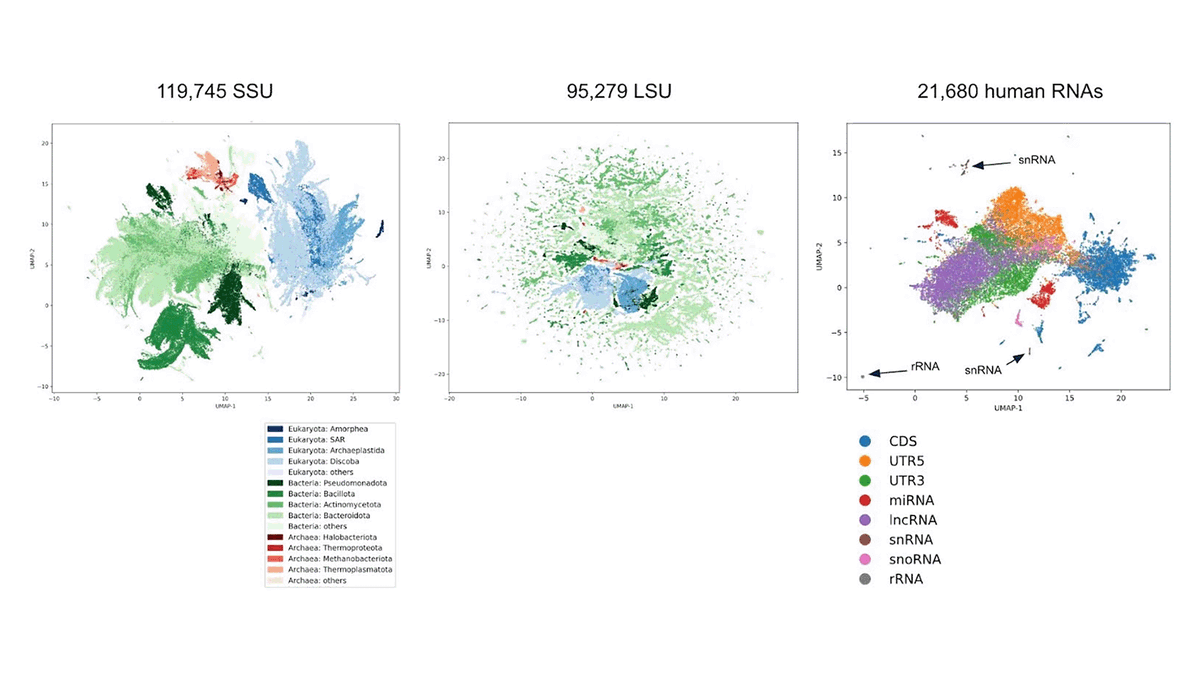GenBio AI tweet media
