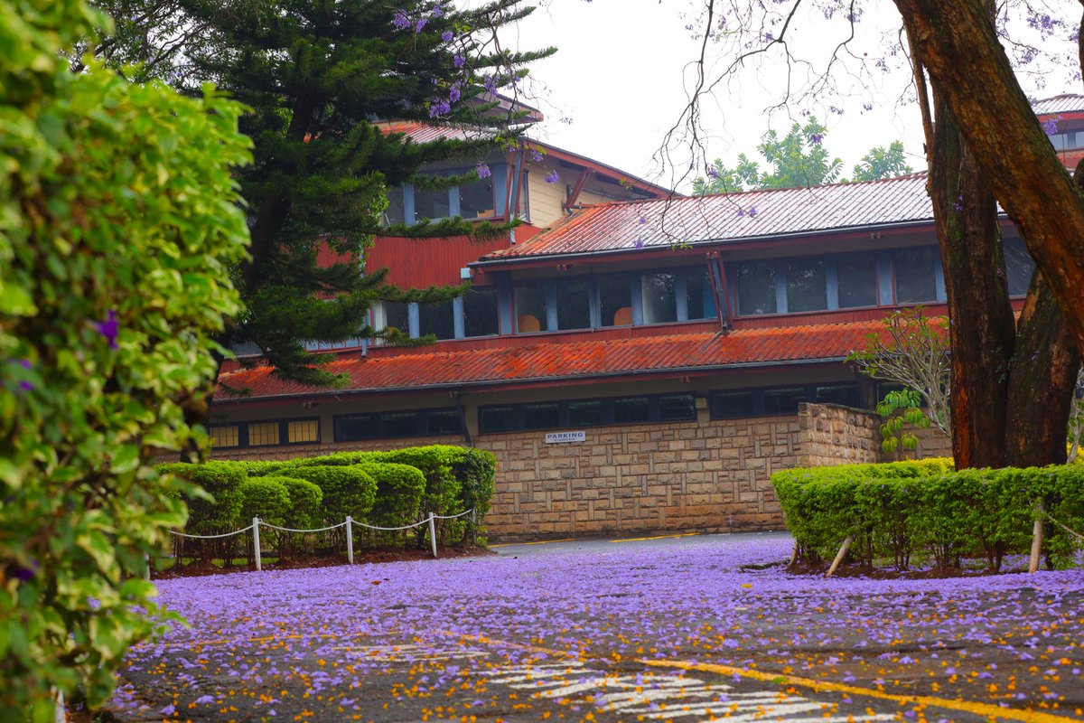 Anguzu ☆ tweet media