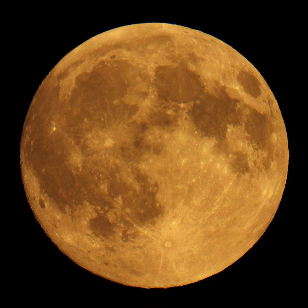 FunkyAppleTree's tweet image. Here it comes.... Hunter's Moon rising in SW London @StormHour @ThePhotoHour #LoveUKWeather #supermoon #FullMoon #HuntersMoon