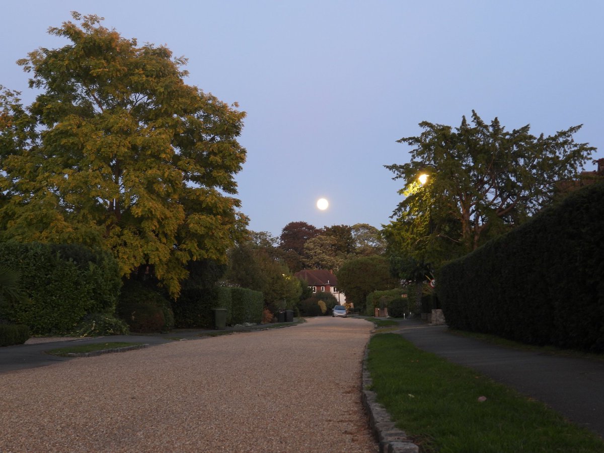 FunkyAppleTree's tweet image. Here it comes.... Hunter's Moon rising in SW London @StormHour @ThePhotoHour #LoveUKWeather #supermoon #FullMoon #HuntersMoon
